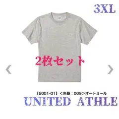 UNITED ATHLE 3XL オートミール Tシャツ 2枚セット