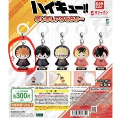 ハイキュー!! めじるしアクセサリー 日向翔陽