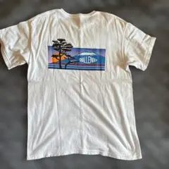 CHALLENGER 富士山グラフィック Tシャツ L