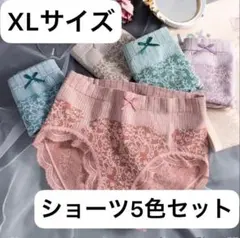 ショーツ 5色セット XLサイズ シームレスブラ3色セット2 Lまとめ