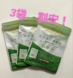 カテキン減脂粒62粒×3袋　DMJえがお生活のサムネイル