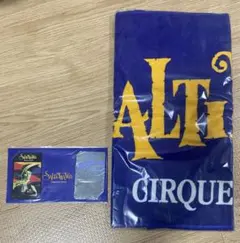 Item thumbnail for item 6a2d70c7-1bee-4fbd-bf3c-61a6fa5cf01d