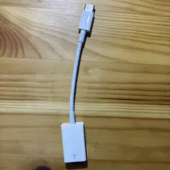 Apple USB-C - USBアダプタ 変換アダプタ④