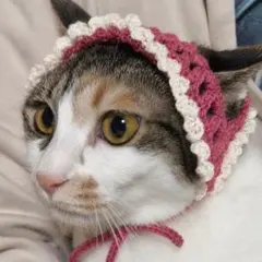犬 猫 ペット用 バブーシュカ ネコーシュカ イヌーシュカ