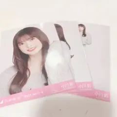 ひめたんの隠しミートボール様 リクエスト 2点 まとめ商品