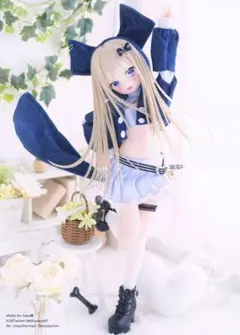 美品 RosenliaDoll お洋服 エクリプスの尻尾