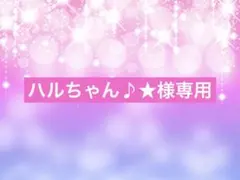 ハルちゃん♪★ 様専用