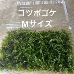 みっしー様 リクエスト 3点 まとめ商品