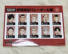 ハイキュー　劇場版ハイキュー‼︎ ゴミ捨て場の決戦　選手名鑑風ブロマイド　音駒高校