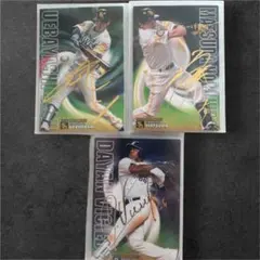 プロ野球チップス　サインカードまとめ売り
