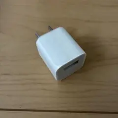 apple純正　ホワイト USB充電器