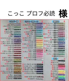 こっこ プロフ必読　様　専用