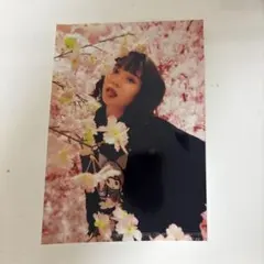 2026年最新】矢野さくらの人気アイテム - メルカリ