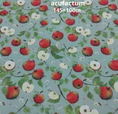 Item thumbnail for item ef79445c-9664-4c74-a4fe-49ae638960dd