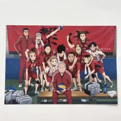 劇場版ハイキュー!!ゴミ捨て場の決戦 映画特典 ポストカード A5 音駒