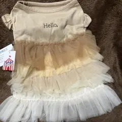 Item thumbnail for item 3f349407-94b1-44d3-817f-716aa416ade7