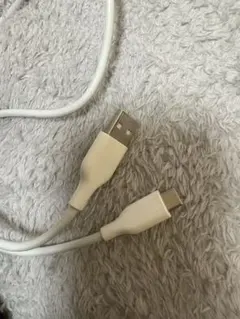 USB-A to USB-C & Lightning 充電ケーブル 2本セット