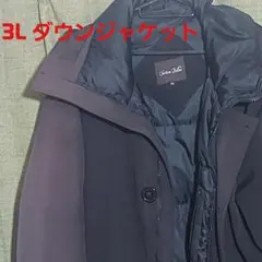 3L フード付きダウンジャケット ブラック