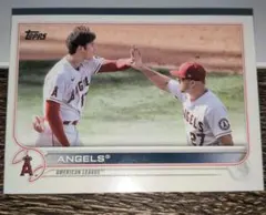 25枚限定 大谷 トラウト プホルス アップトン 実使用ジャージ & バット 25枚限定 大谷 トラウト プホルス アップトン 実使用ジャージ & バット