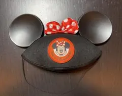 東京ディズニーリゾート　ミニーマウス イヤーハット