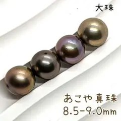 【LPM17】新品 あこや真珠 茶系マルチ 8.5-9.0ミリ 大珠 希少