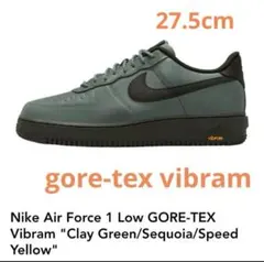 Nike Air Force 1 Low GORE Vibram 27.5cm