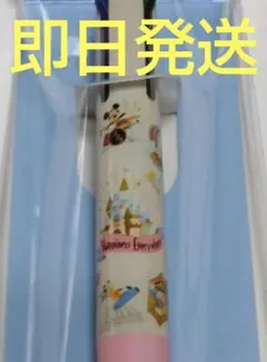 タイムセール！ディズニーリゾート限定 フリクションボールペン パークアイコン