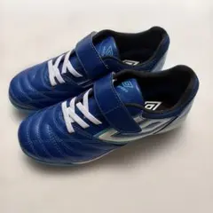 【にょにょにょん様専用】アンブロ　21センチ