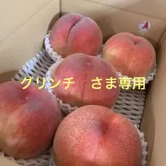 山梨の木のてっぺん桃　超特大を5個詰めて発送　人気商品　ももやのきよしのサムネイル