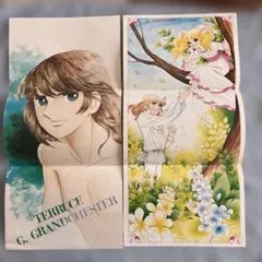 2025年最新】昭和レトロキャンディキャンディの人気アイテム - メルカリ