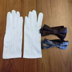 Item thumbnail for item c8f8ef98-2877-4064-ae60-296fb369def9