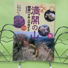 Item thumbnail for item 313835f5-f9e7-475a-bd81-c252dde28b06