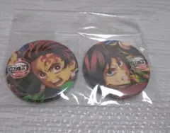 鬼滅の刃 無限城編 アニメイト特典 竈門炭治郎・冨岡義勇 缶バッジセット