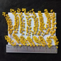 mei closet..~*。様 リクエスト 4点 まとめ商品