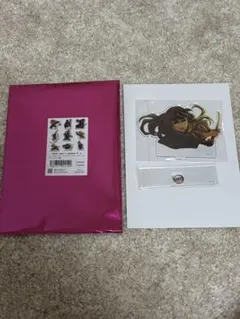 鬼滅の刃 無限城編 ランダムアクリルスタンド 時透無一郎