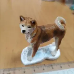 2025年最新】日本の天然記念物 海洋堂の人気アイテム - メルカリ