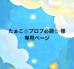 たぁこ☆プロフ必読☆様　専用