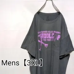 P98【US輸入】フルーツオブザルーム　半袖Tシャツ【メンズ3XL】グレー