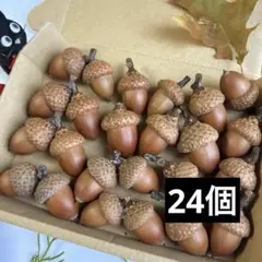 北海道 レッドオーク どんぐり帽子 24個 煮沸消毒.乾燥.磨き済み　写真の品