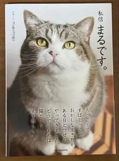 【美品】私信まるです。初版本/猫の写真集