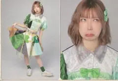 豆柴の大群　フォトカード　ハナエモンスター　おまけ付き