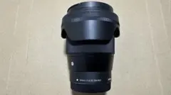 2026年最新】sigma 16mm f1.4 dc dn sony eマウントの人気アイテム