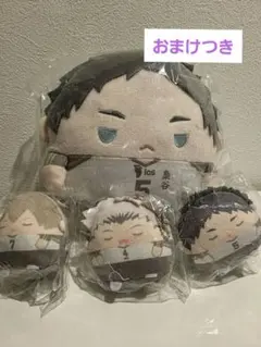 ハイキュー くじメイト ぬいくじ C賞 ふわコロりん Мサイズ 赤葦京治