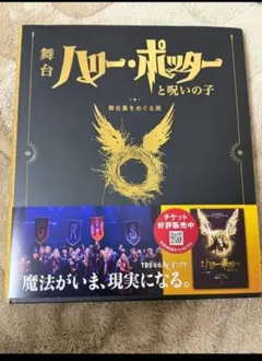 うつ病の治療費に【ハリー・ポッター】シリアルNo.入 オリジナルサイン