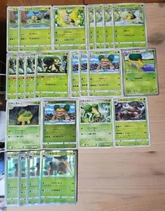 ks99 ナエトル ハヤシガメ ドダイトス 進化ライン