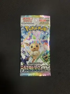 ポケモンカード　テラスタルフェスex