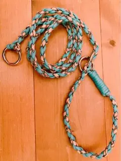 Item thumbnail for item 81519300-a41f-45c9-b03d-f75099bb3421