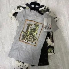 T-Rex Tシャツと恐竜柄パンツセット 3T