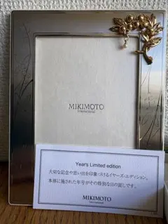 Item thumbnail for item d09720f7-0d40-48a2-b7be-f472d9903f7a