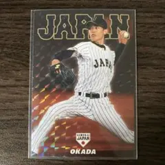 カルビー プロ野球チップスカード 侍ジャパン 中日ドラゴンズ 岡田俊哉